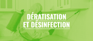 Dératisation et désinfection par une entreprise spécialisée à Bordeaux (Gironde, 33)