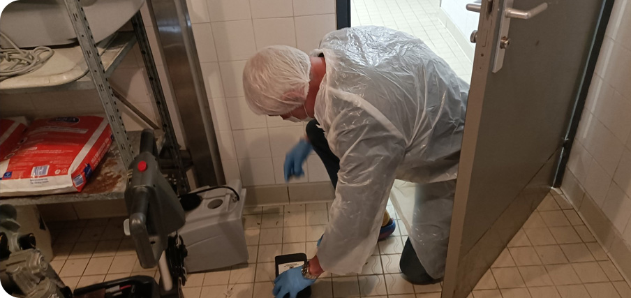 Dératisation à Bordeaux et désinsectisation en Gironde (33)