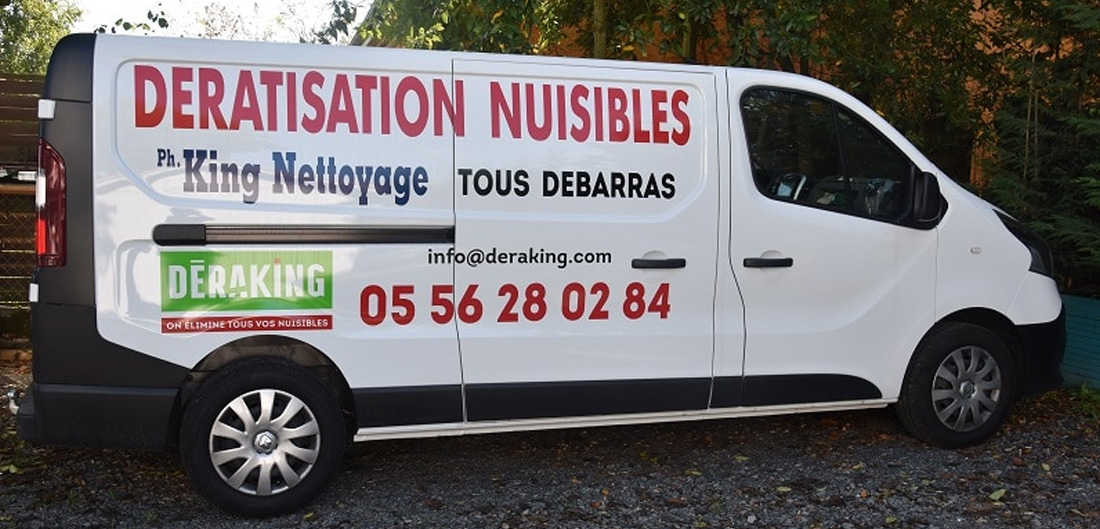 Entreprise spécialisée dans l'extermination des blattes et cafards à Bordeaux et en Gironde (33)